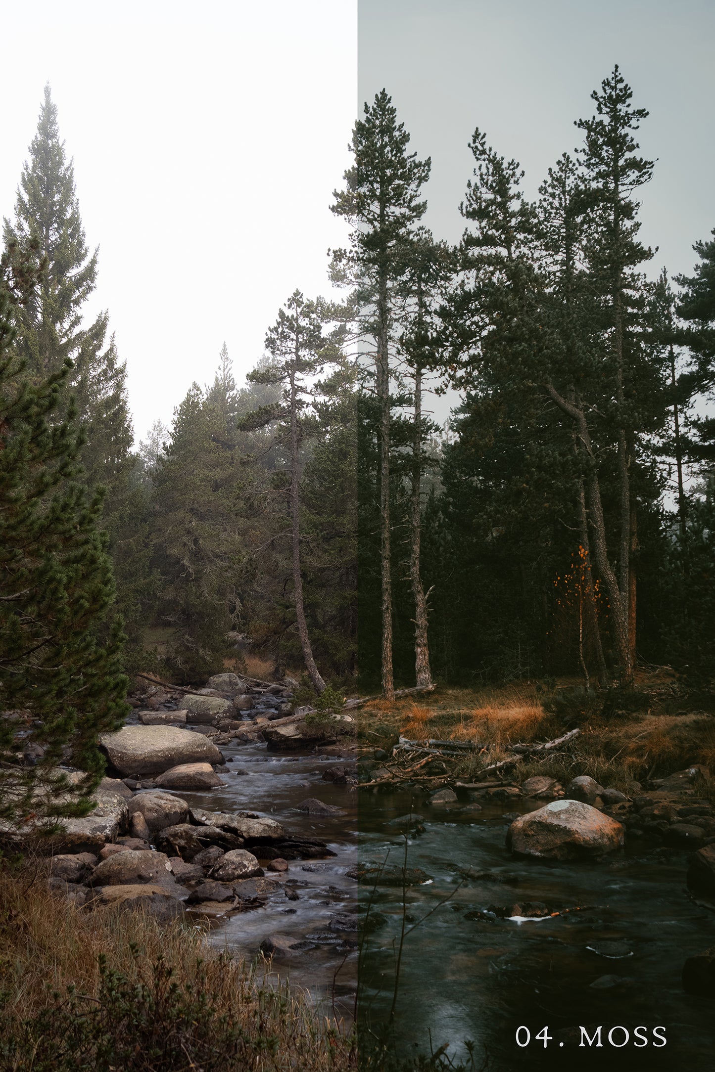 Grain & Fern Preset Collection