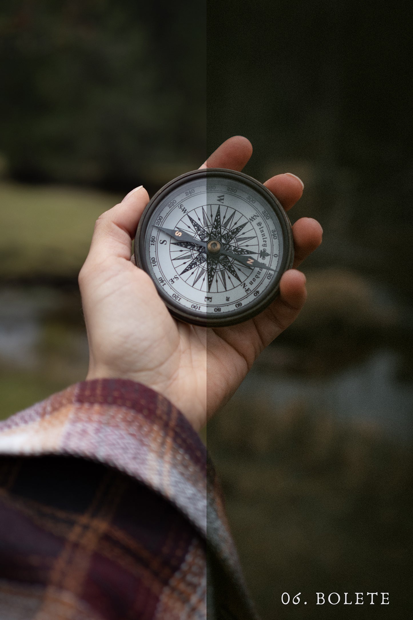 Grain & Fern Preset Collection