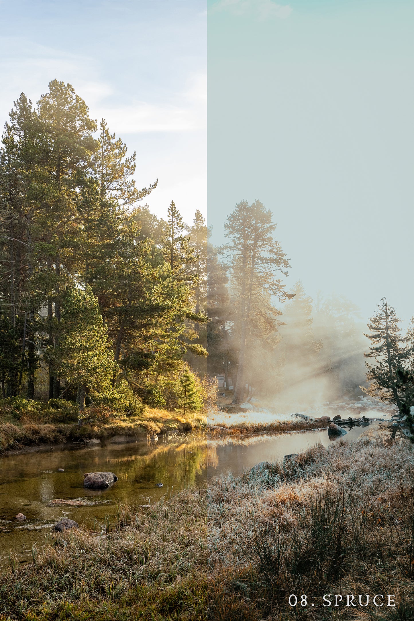 Grain & Fern Preset Collection