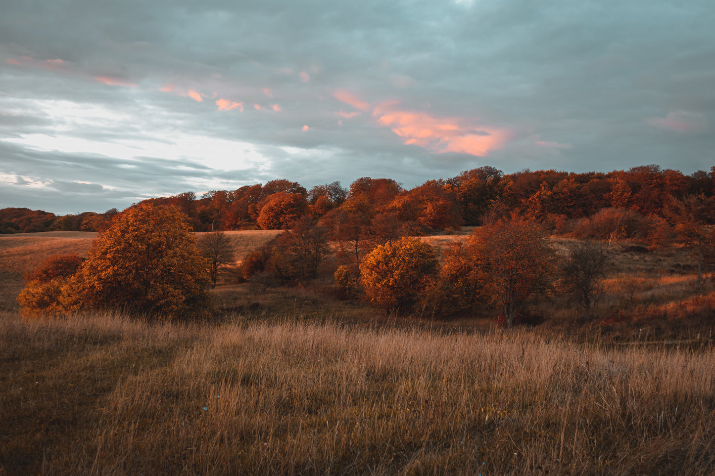 Golden Autumn (landscape format)