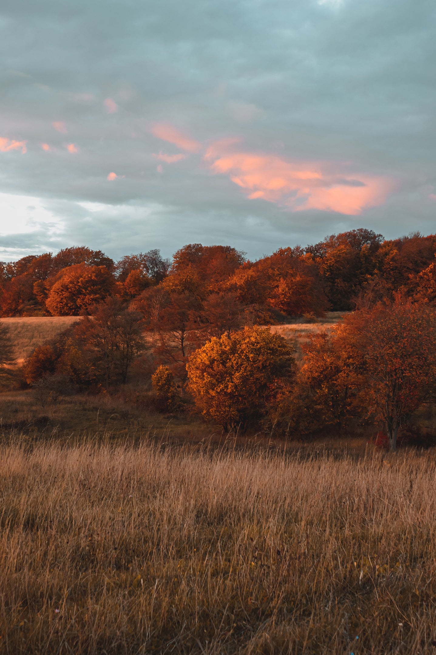 Golden Autumn (landscape format)