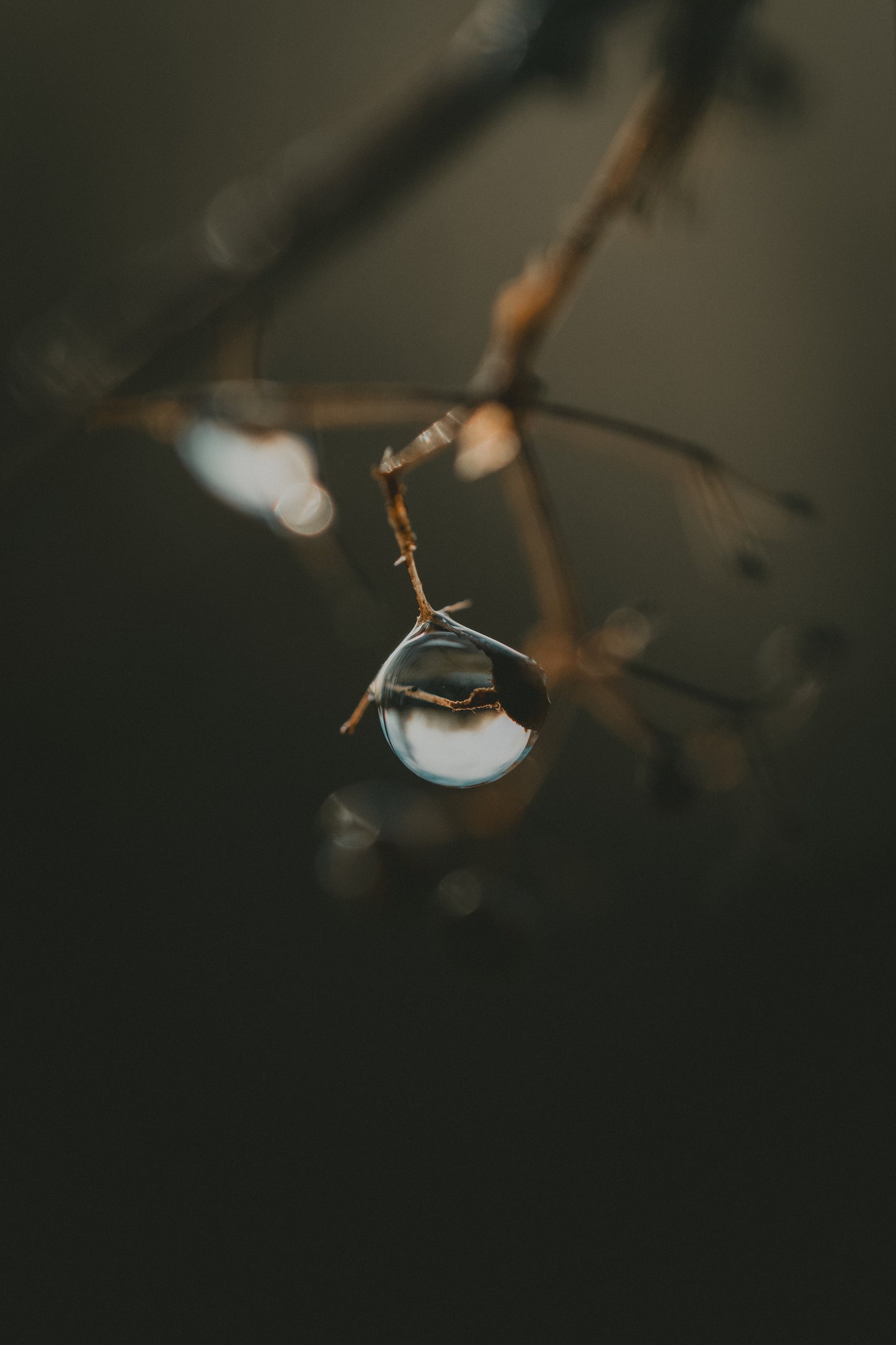 Droplet