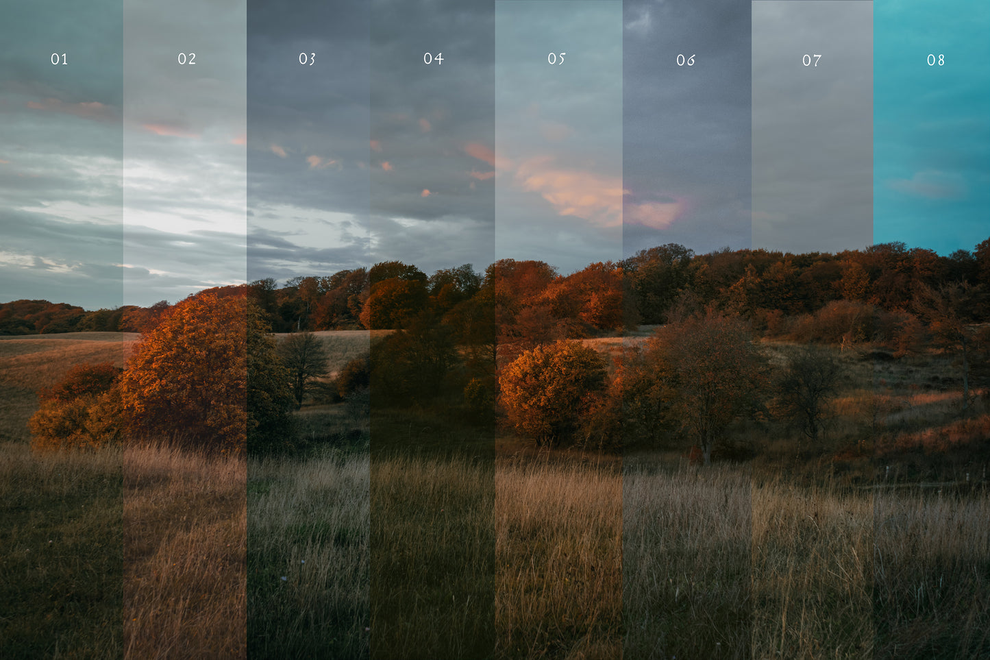 Grain & Fern Preset Collection