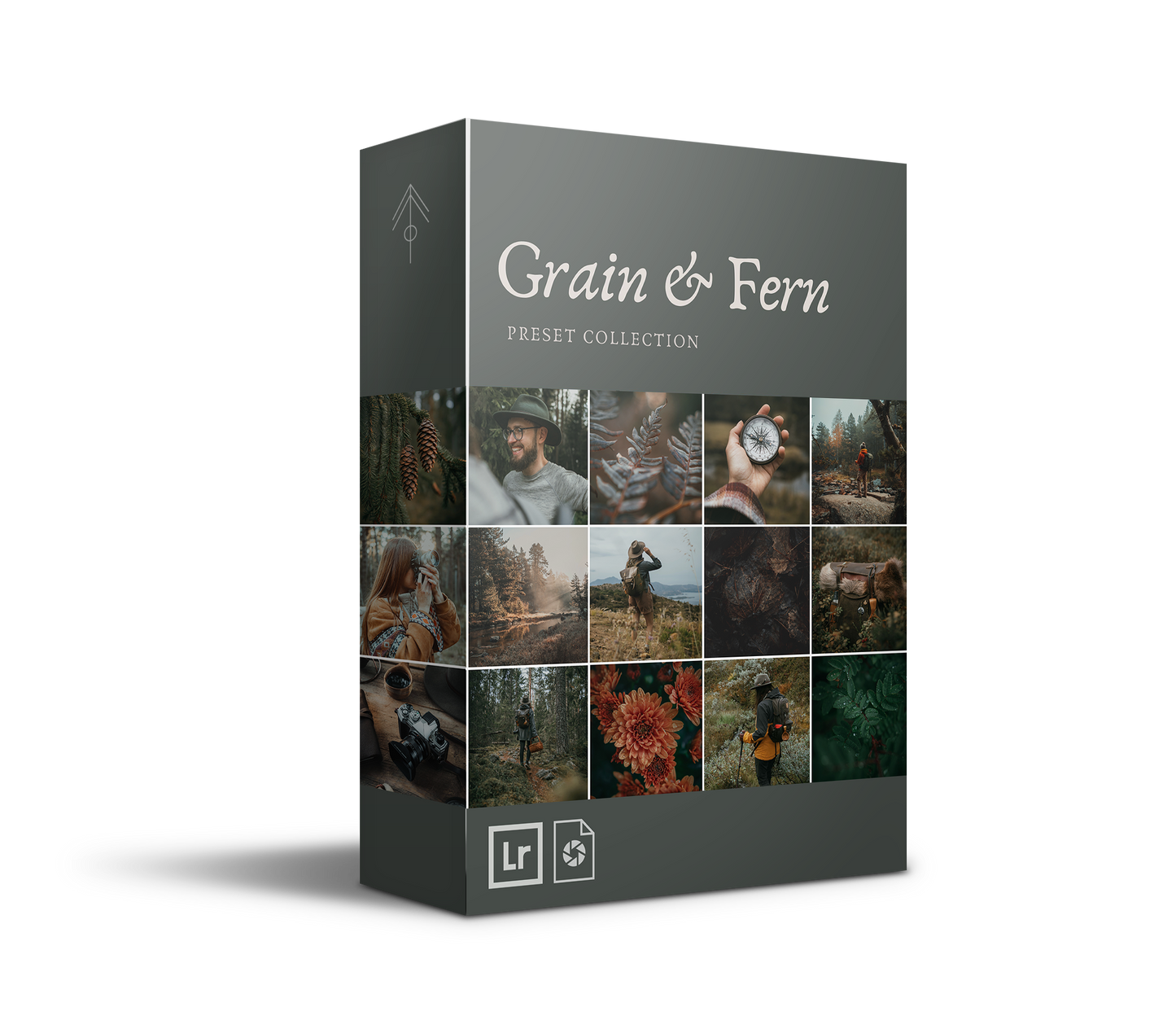 Grain & Fern Preset Collection